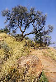 Anzac Hill