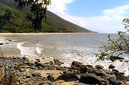 Ellis Beach