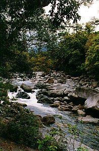 Mossman Gorge