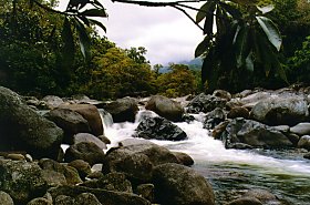 Mossman Gorge