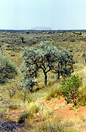 Uluru from the Kata Tjuta Dune Viewing Area