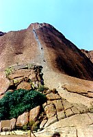 Ants Climbing Uluru