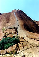 Ants Climbing Uluru