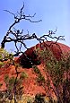 Uluru