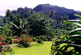 View towards the mountains from Maire Nui Gardens