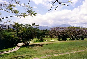 View from Fiji Mocambo