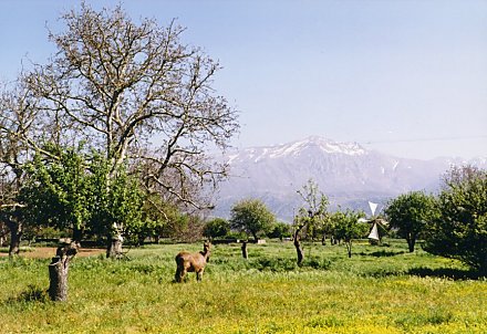 Lassithi Plain, Crete