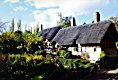 Ann Hathaway's Cottage - Stratford-Upon-Avon