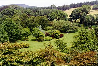 Arboretum, St. Johns