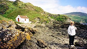 Niarbyl