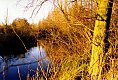 Stanborough Lakes - Welwyn Garden City